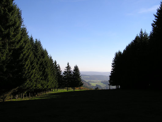 Unterhalb der Ka Lied ein Blick durch eine Lichtung in Richtung Südwesten